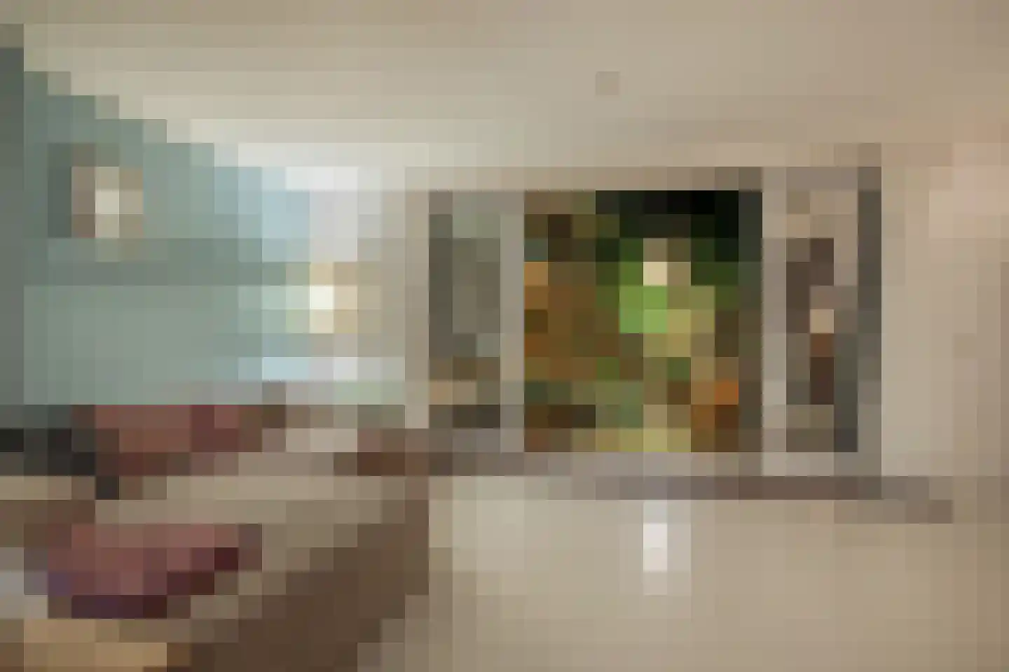 Danie Theronstraat 26 E Amsterdam thumbnail 7