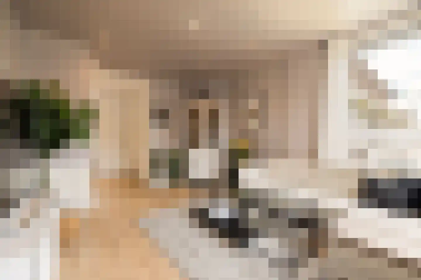 Danie Theronstraat 32 3 Amsterdam thumbnail 10