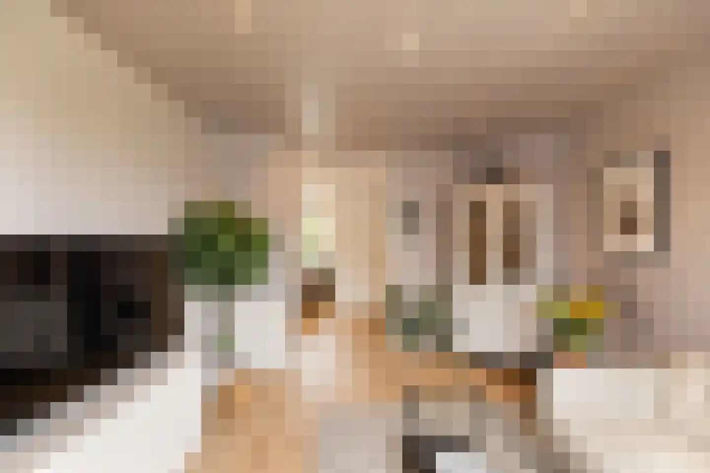 Danie Theronstraat 32 3 Amsterdam thumbnail 11