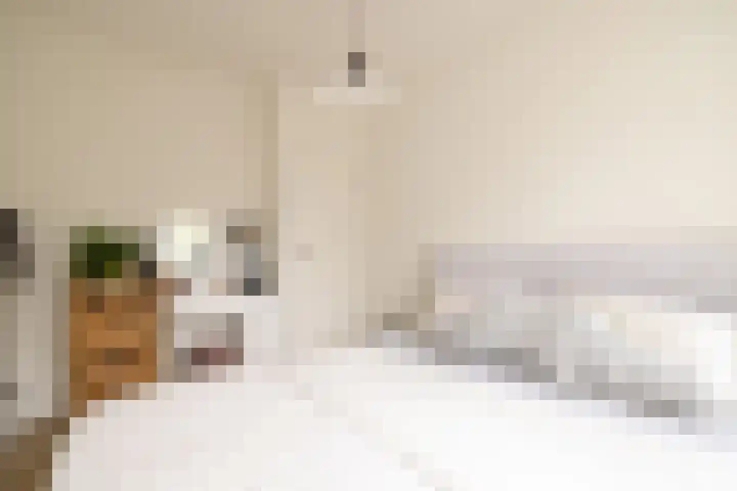 Danie Theronstraat 32 3 Amsterdam thumbnail 17