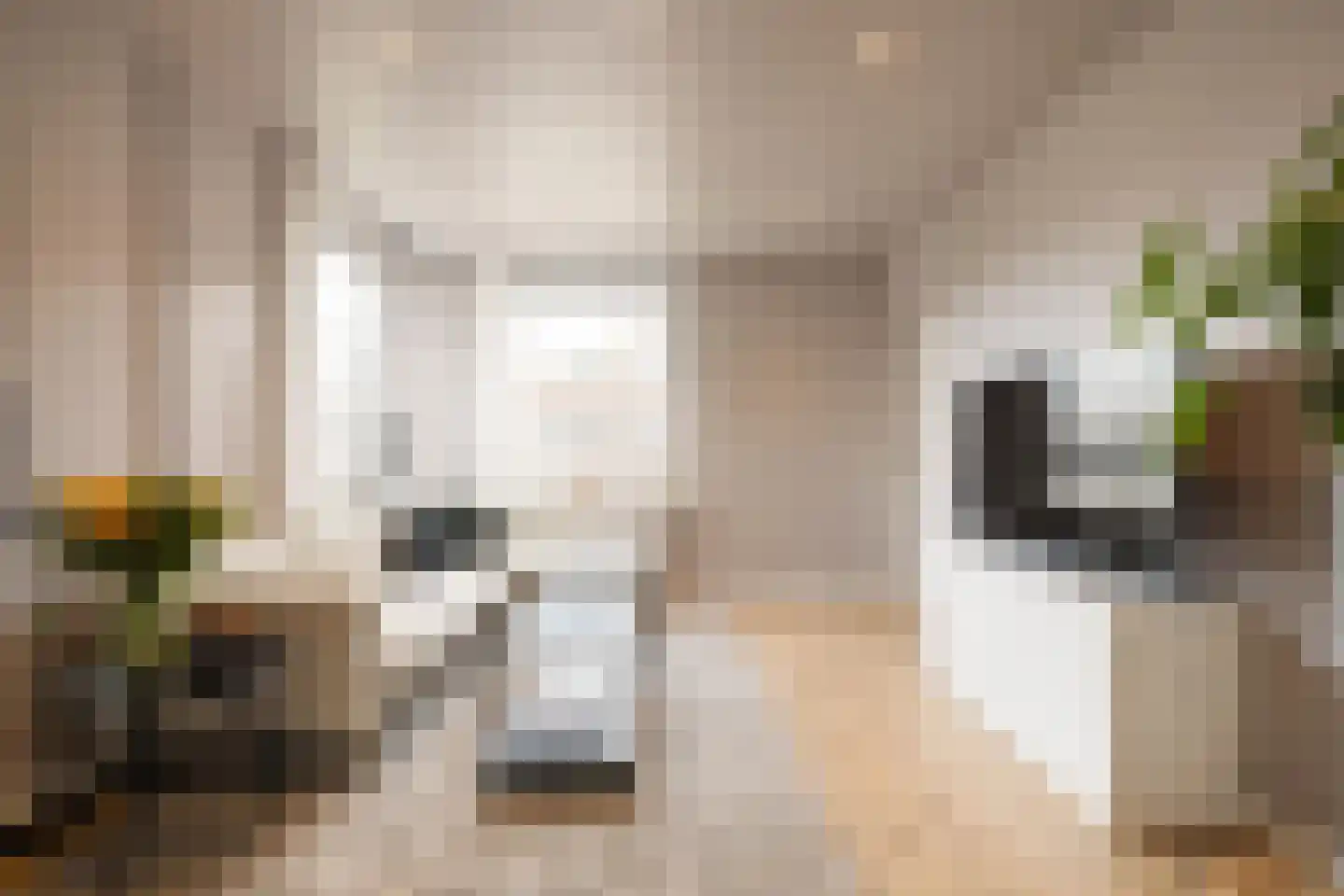 Danie Theronstraat 32 3 Amsterdam thumbnail 7