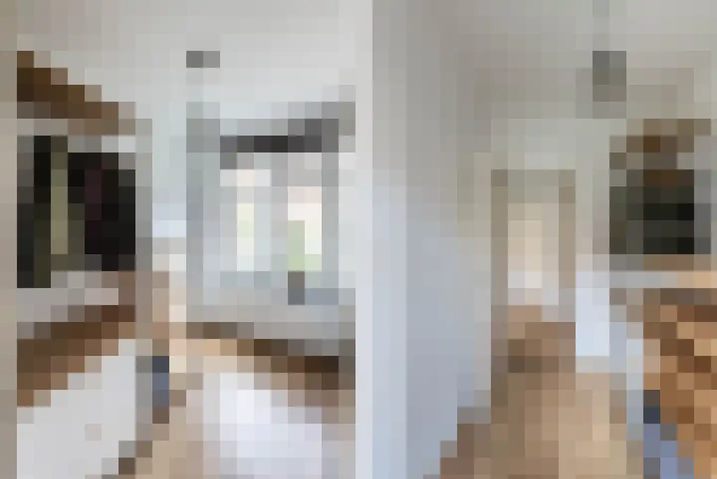 Danie Theronstraat 33 1 Amsterdam thumbnail 16