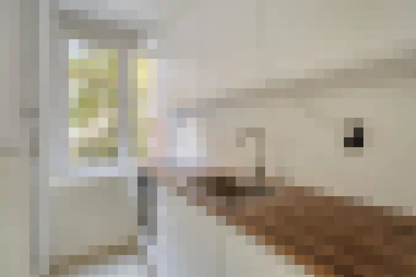 Danie Theronstraat 34 1 Amsterdam thumbnail 13