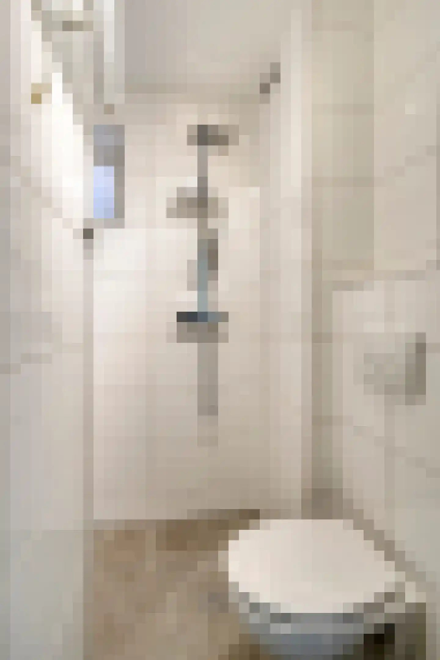 Danie Theronstraat 34 1 Amsterdam thumbnail 19