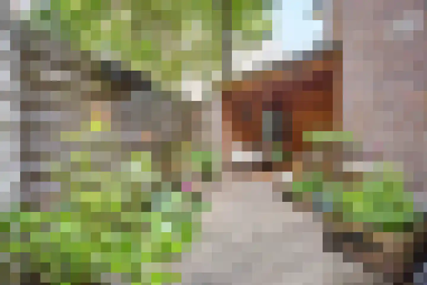 Danie Theronstraat 34 H Amsterdam thumbnail 18