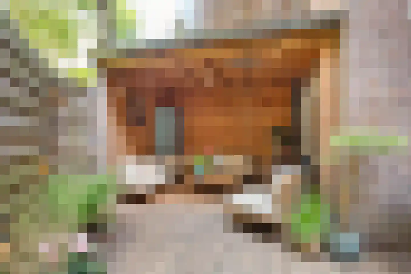 Danie Theronstraat 34 H Amsterdam thumbnail 19