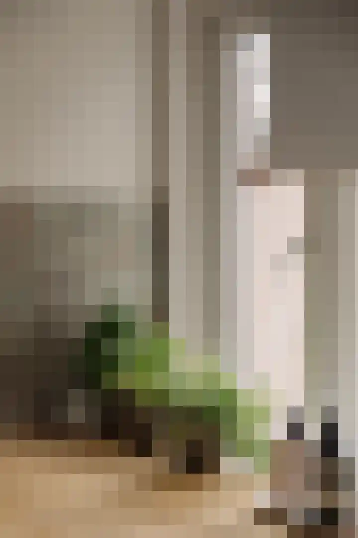 Danie Theronstraat 37 1 Amsterdam thumbnail 12