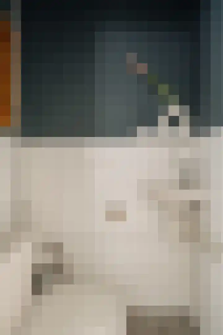 Danie Theronstraat 37 1 Amsterdam thumbnail 18