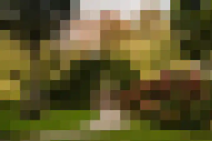 Danie Theronstraat 37 1 Amsterdam thumbnail 22