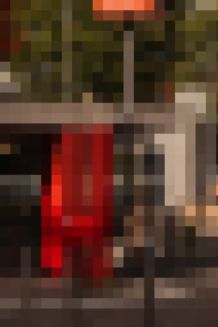 Danie Theronstraat 37 1 Amsterdam thumbnail 24