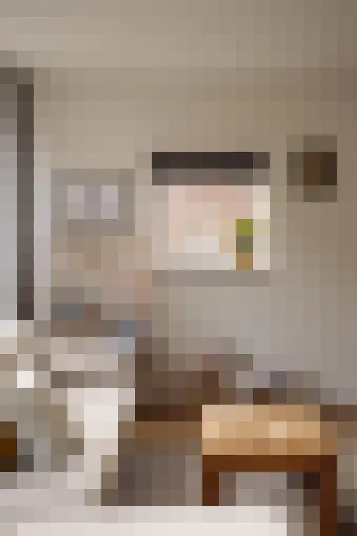 Danie Theronstraat 37 1 Amsterdam thumbnail 9