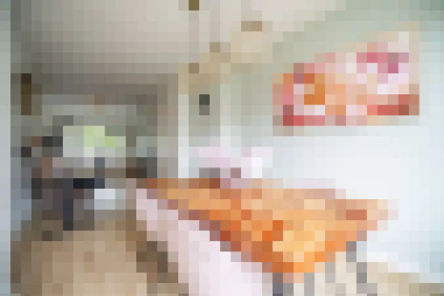 Daniël Catterwijckstraat 15 Rijswijk thumbnail 17