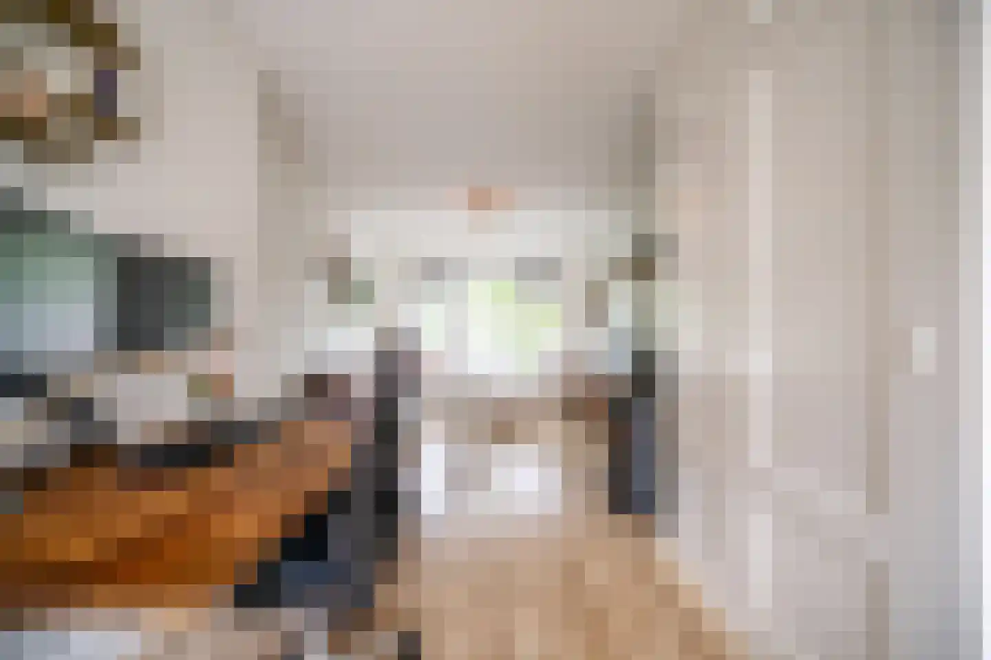 Daniël Catterwijckstraat 15 Rijswijk thumbnail 18