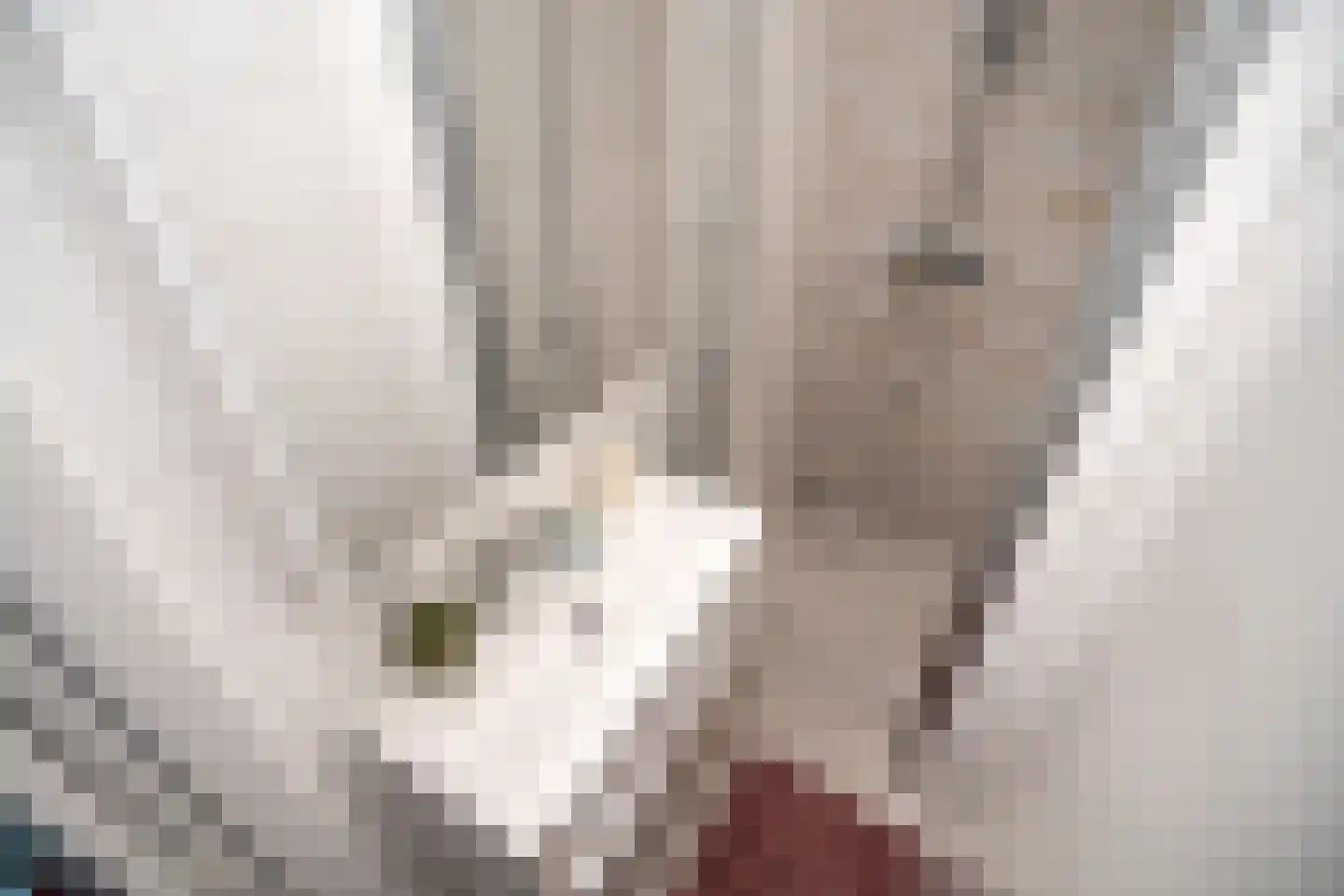 Daniël Catterwijckstraat 15 Rijswijk thumbnail 20