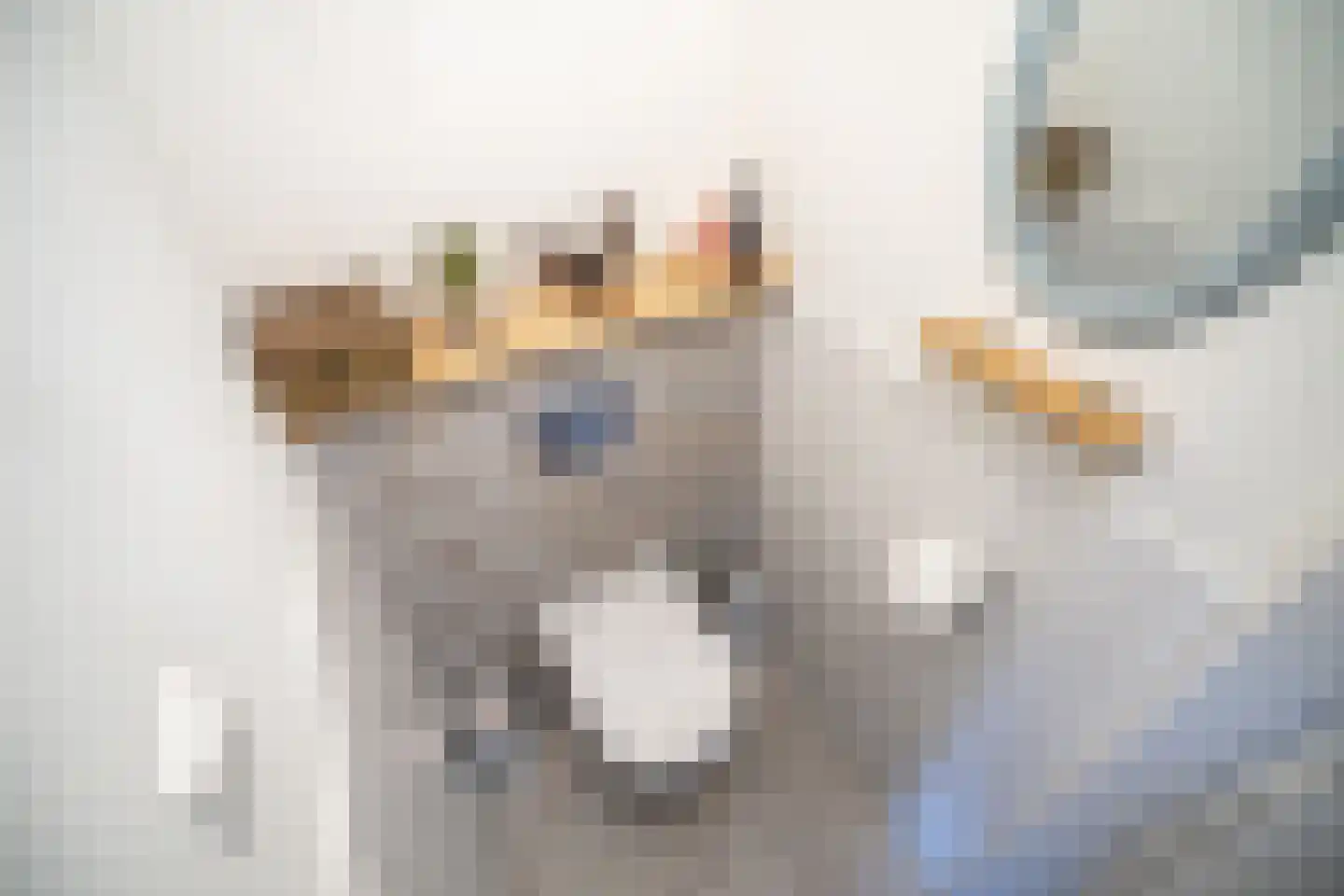 Daniël Catterwijckstraat 15 Rijswijk thumbnail 23