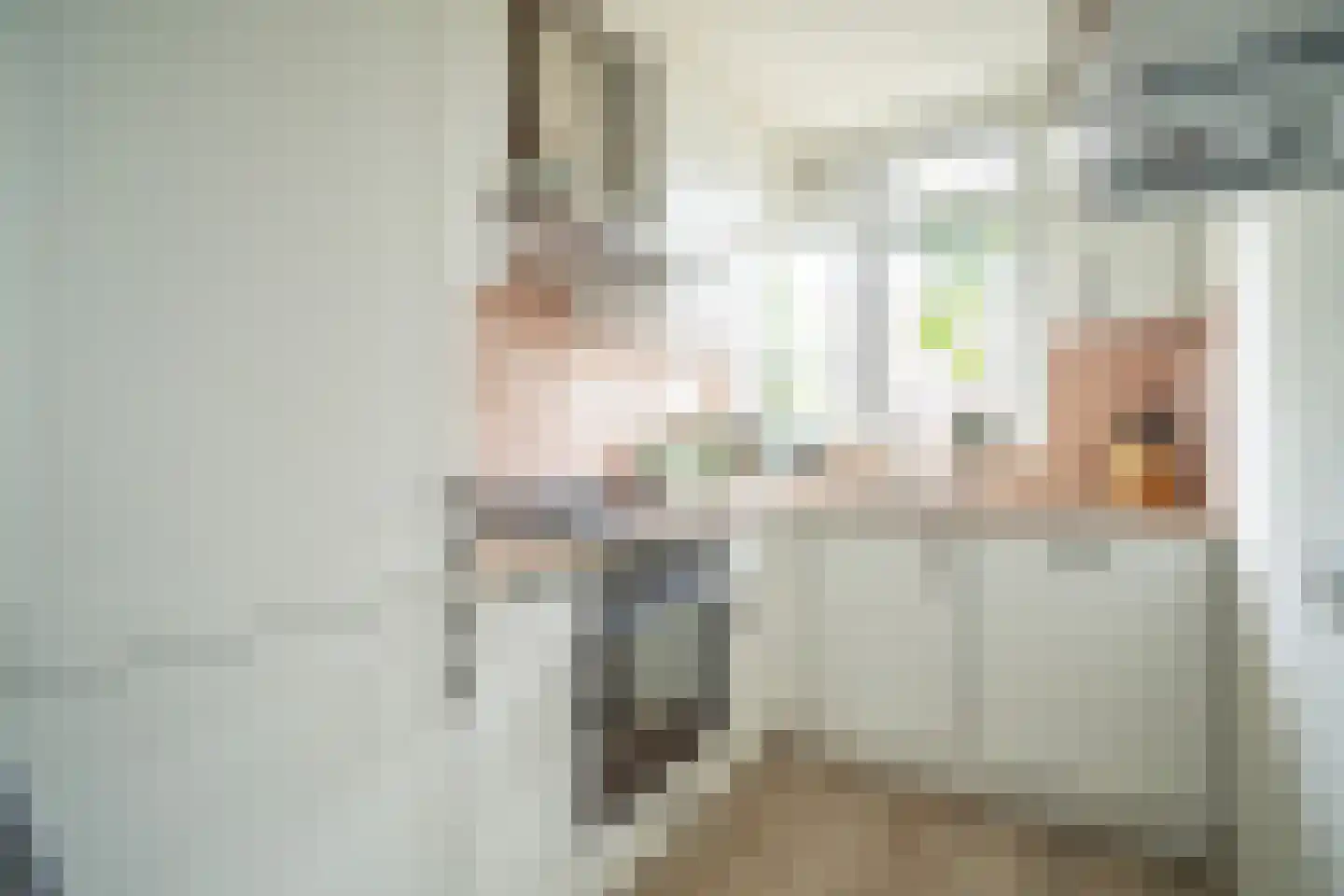 Daniël Catterwijckstraat 15 Rijswijk thumbnail 25