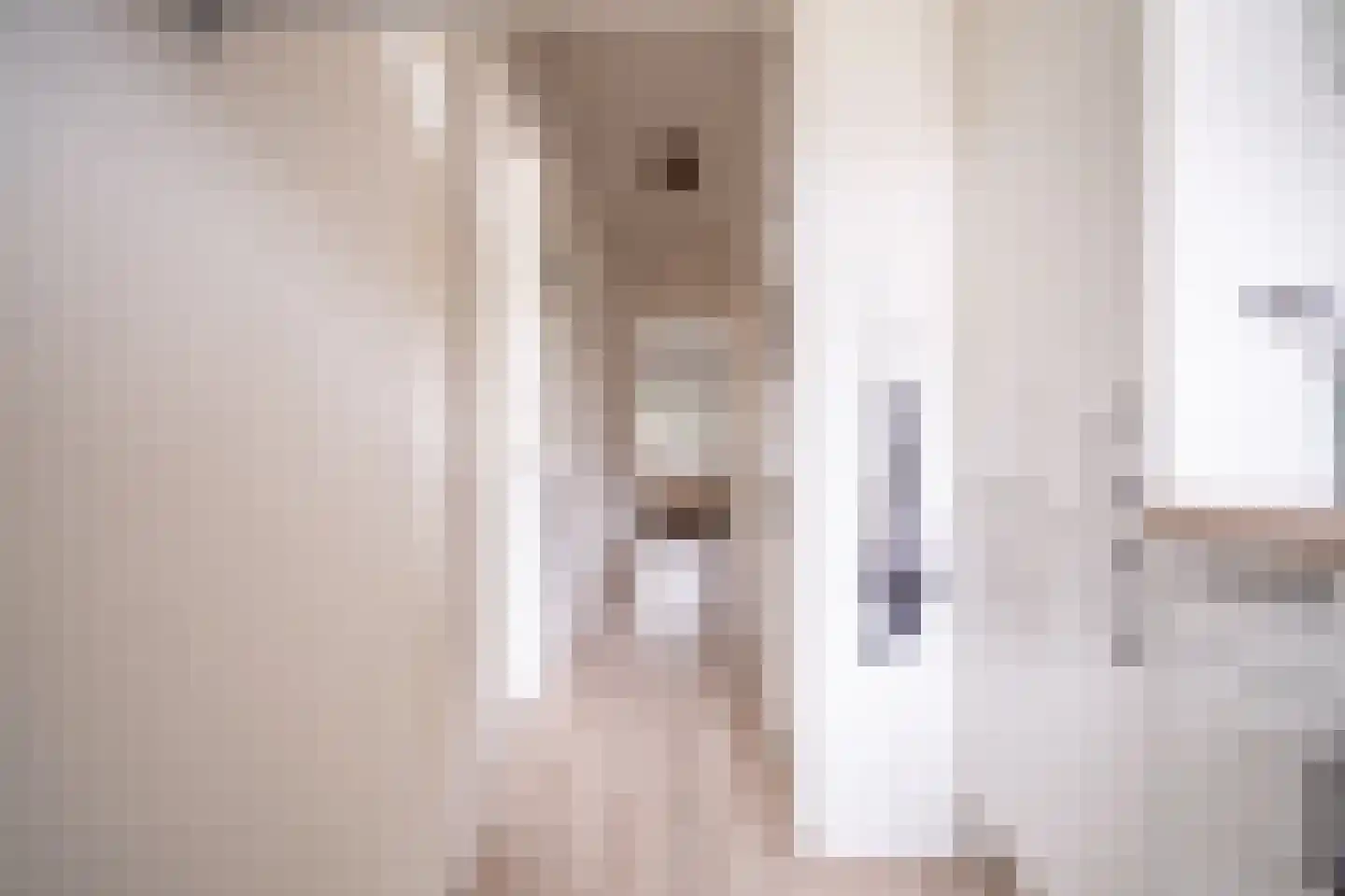 Daniël Catterwijckstraat 15 Rijswijk thumbnail 28