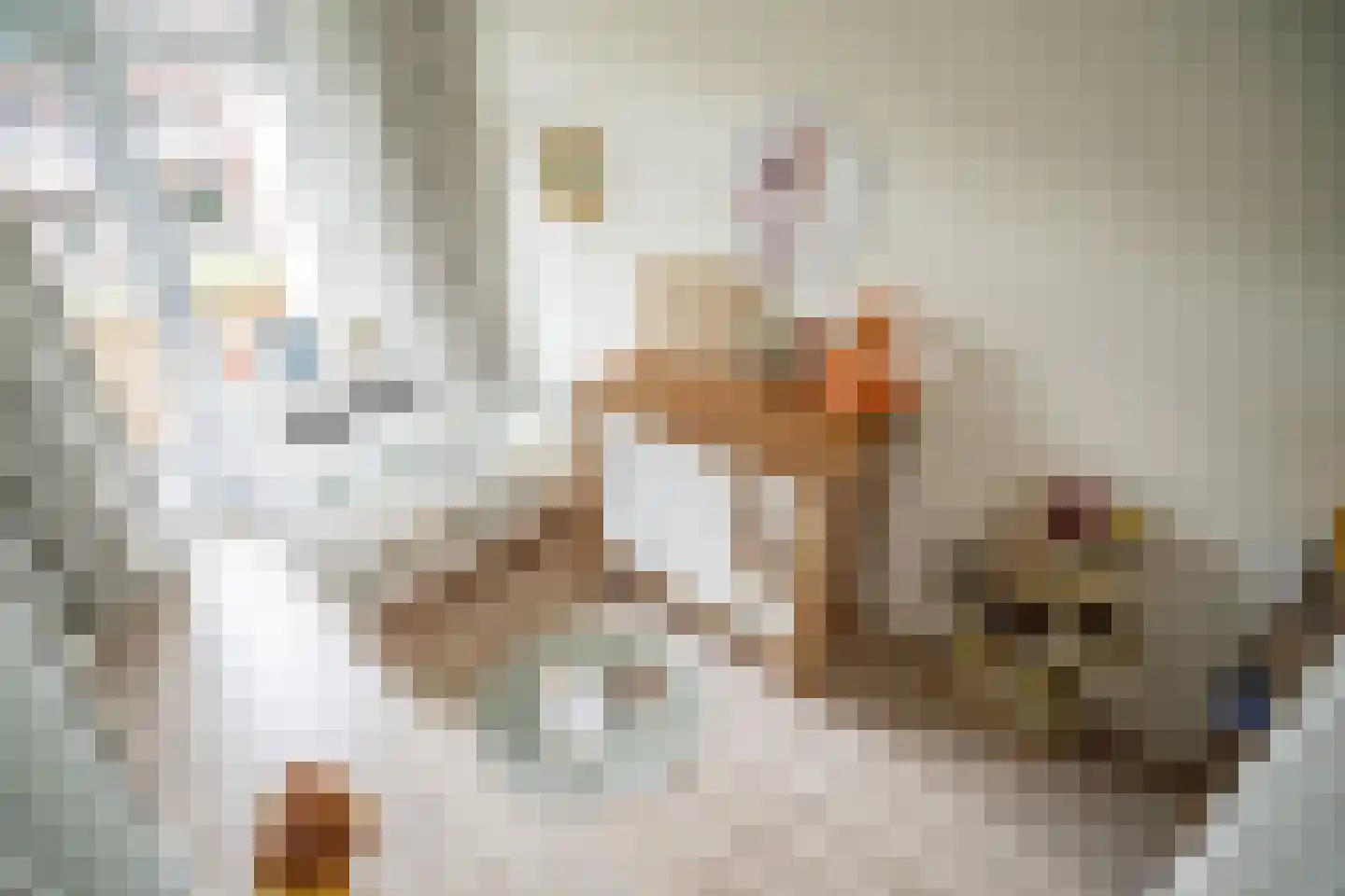Daniël Catterwijckstraat 15 Rijswijk thumbnail 29