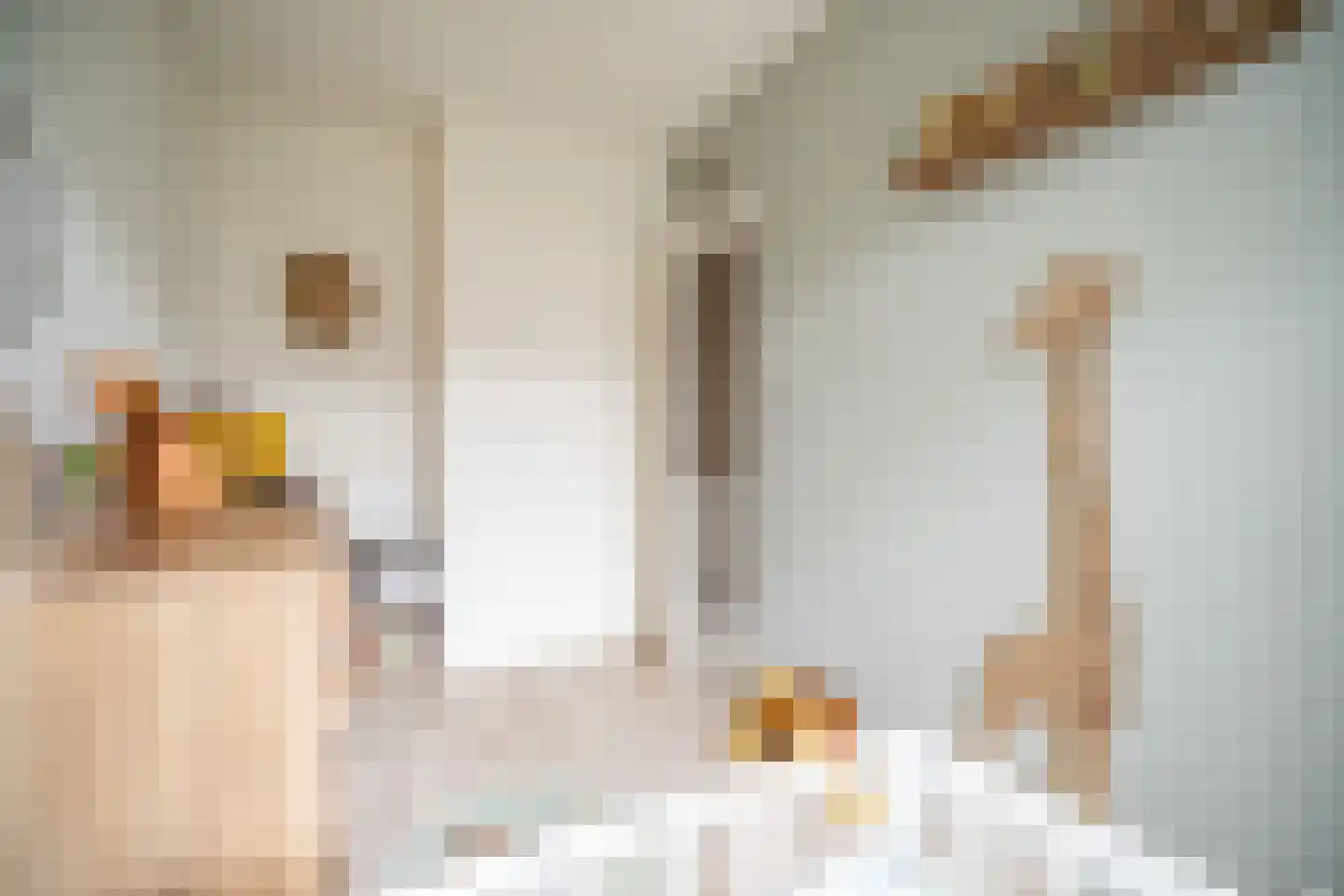 Daniël Catterwijckstraat 15 Rijswijk thumbnail 31