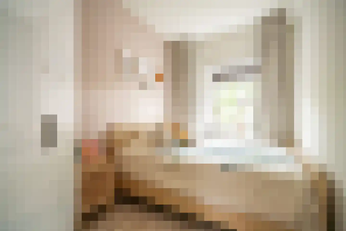 Daniël Catterwijckstraat 15 Rijswijk thumbnail 32