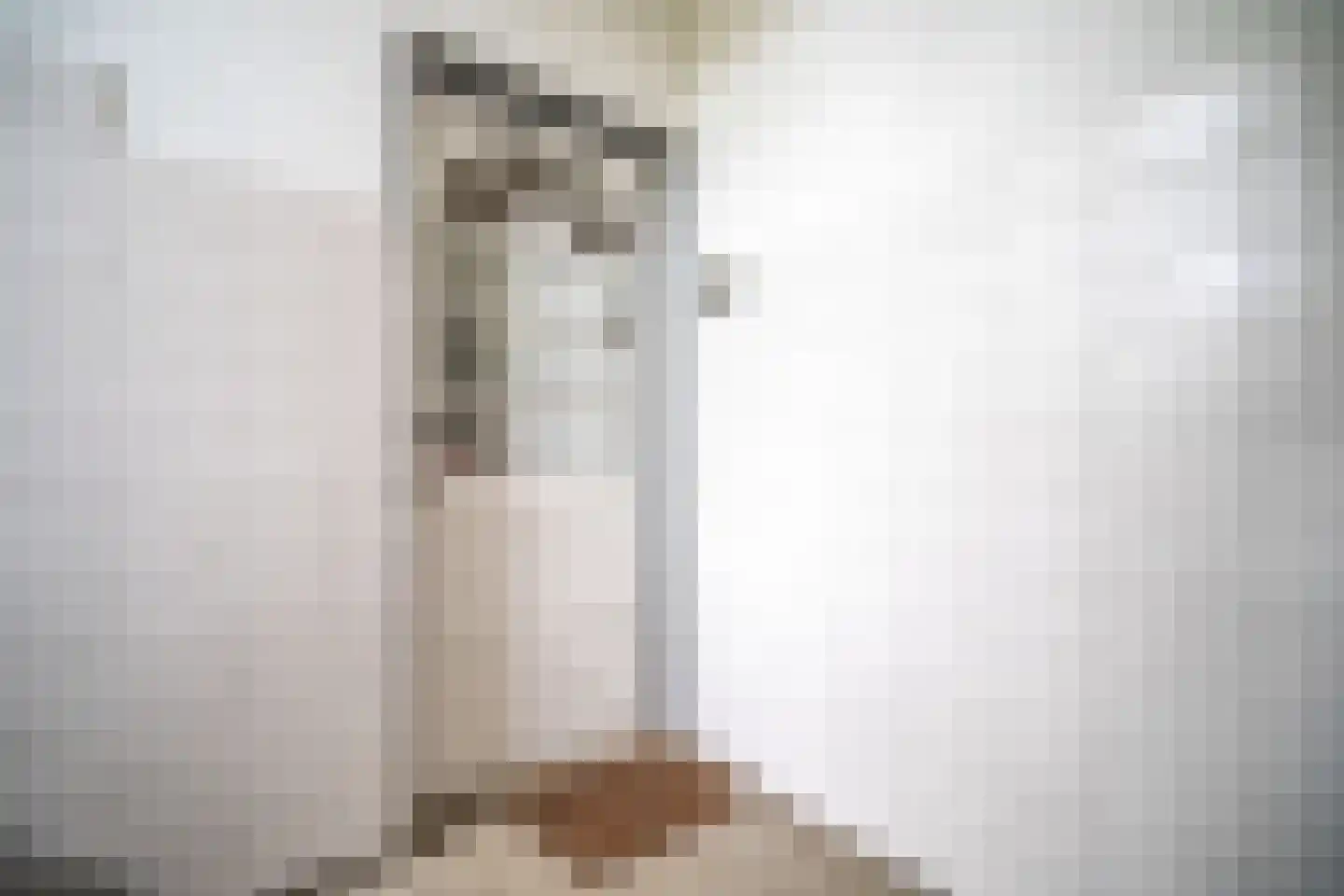 Daniël Catterwijckstraat 15 Rijswijk thumbnail 33