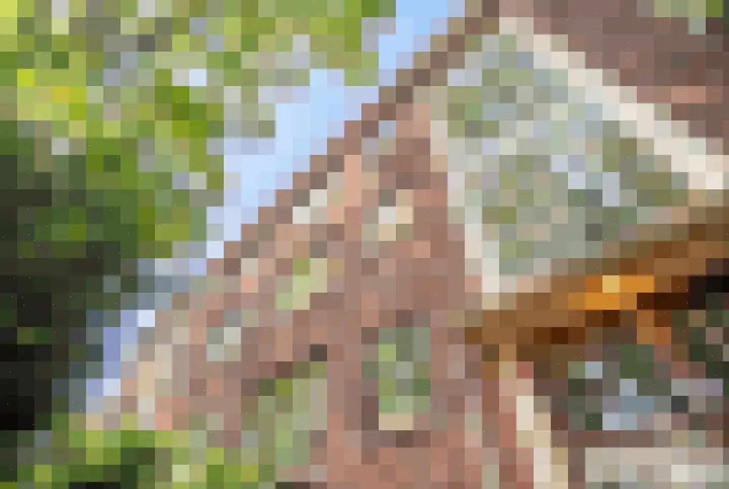 Daniël Catterwijckstraat 15 Rijswijk thumbnail 35