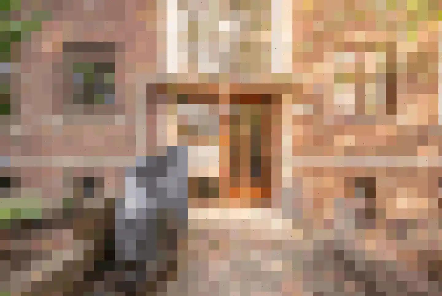 Daniël Catterwijckstraat 15 Rijswijk thumbnail 36