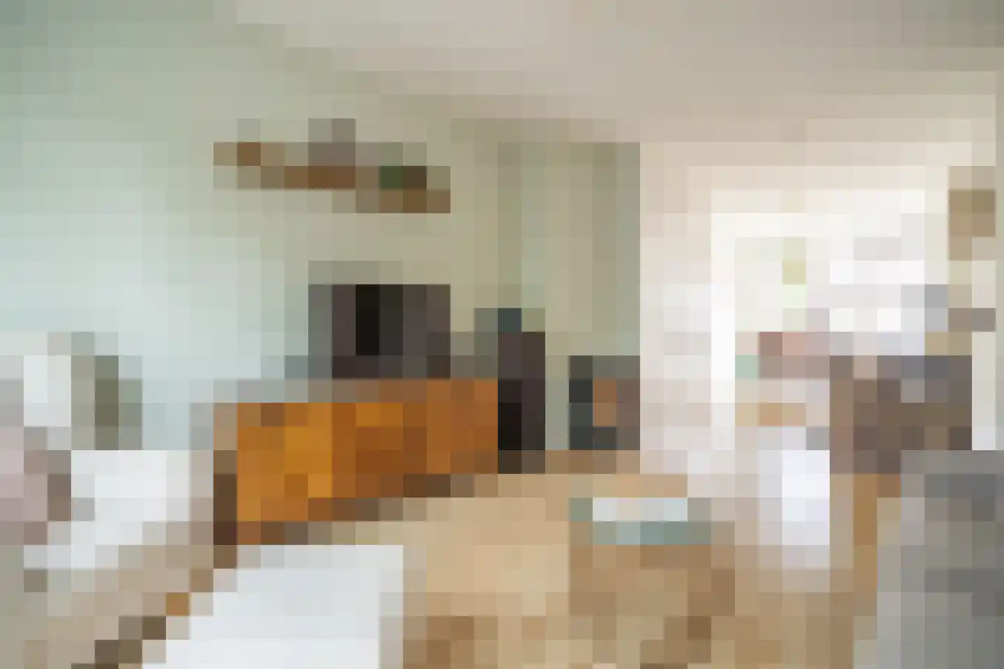 Daniël Catterwijckstraat 15 Rijswijk thumbnail 4