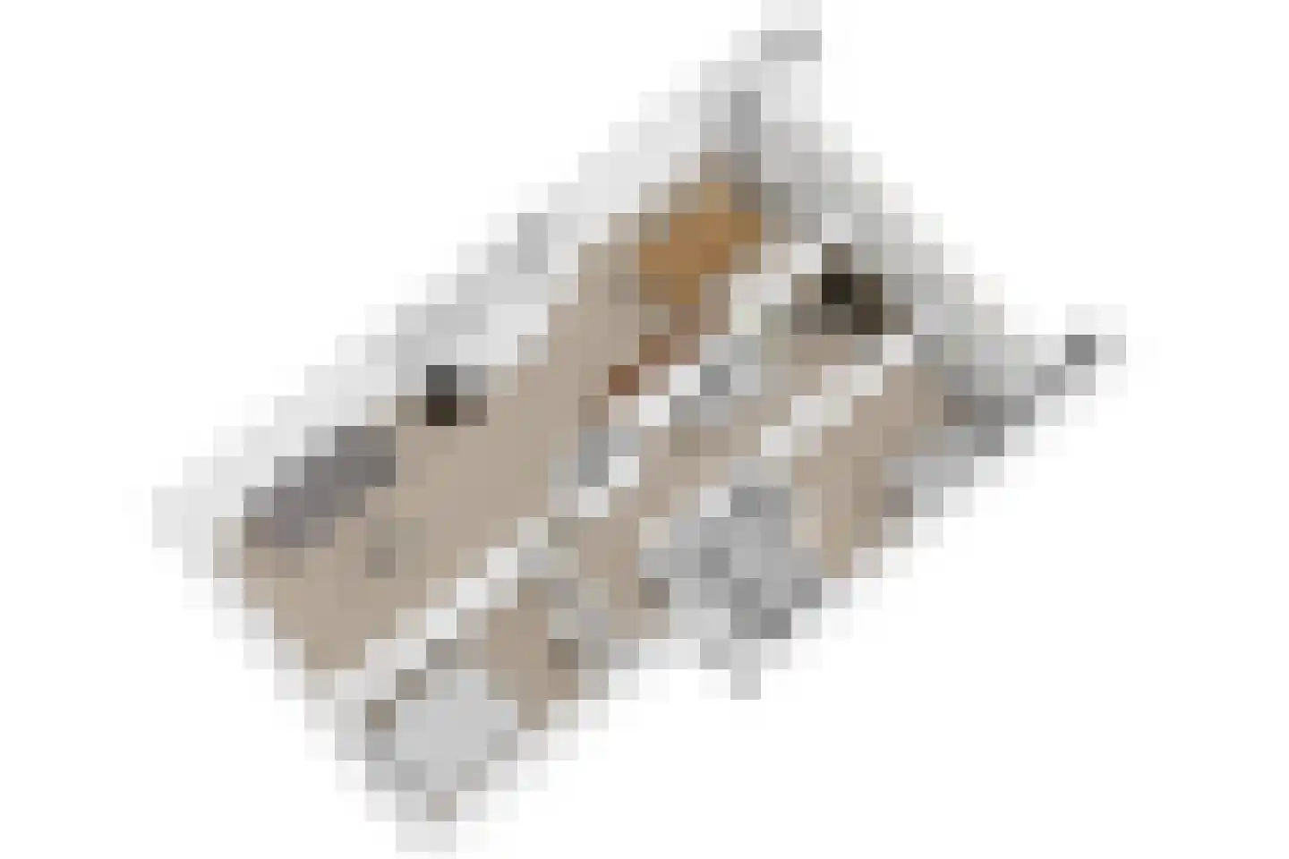 Daniël Catterwijckstraat 15 Rijswijk thumbnail 44