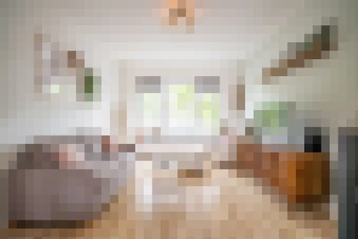 Daniël Catterwijckstraat 15 Rijswijk thumbnail 5