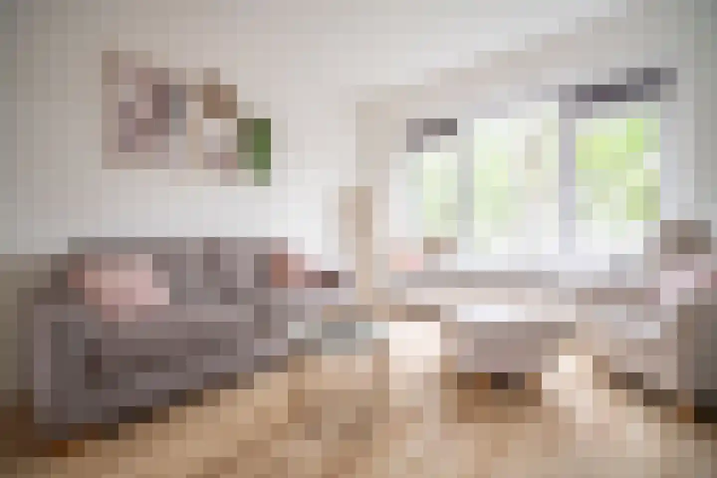 Daniël Catterwijckstraat 15 Rijswijk thumbnail 6