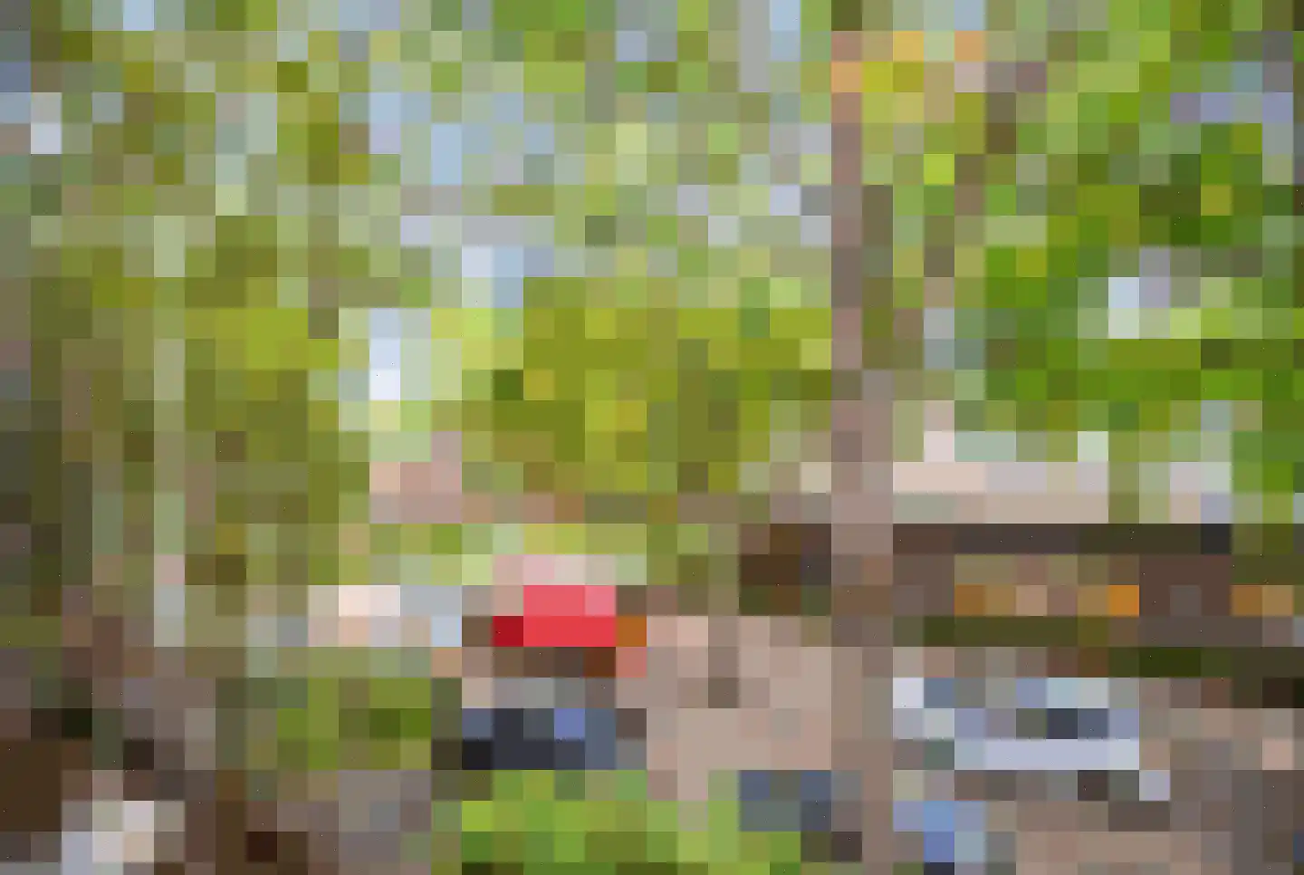 Daniël Catterwijckstraat 15 Rijswijk thumbnail 7