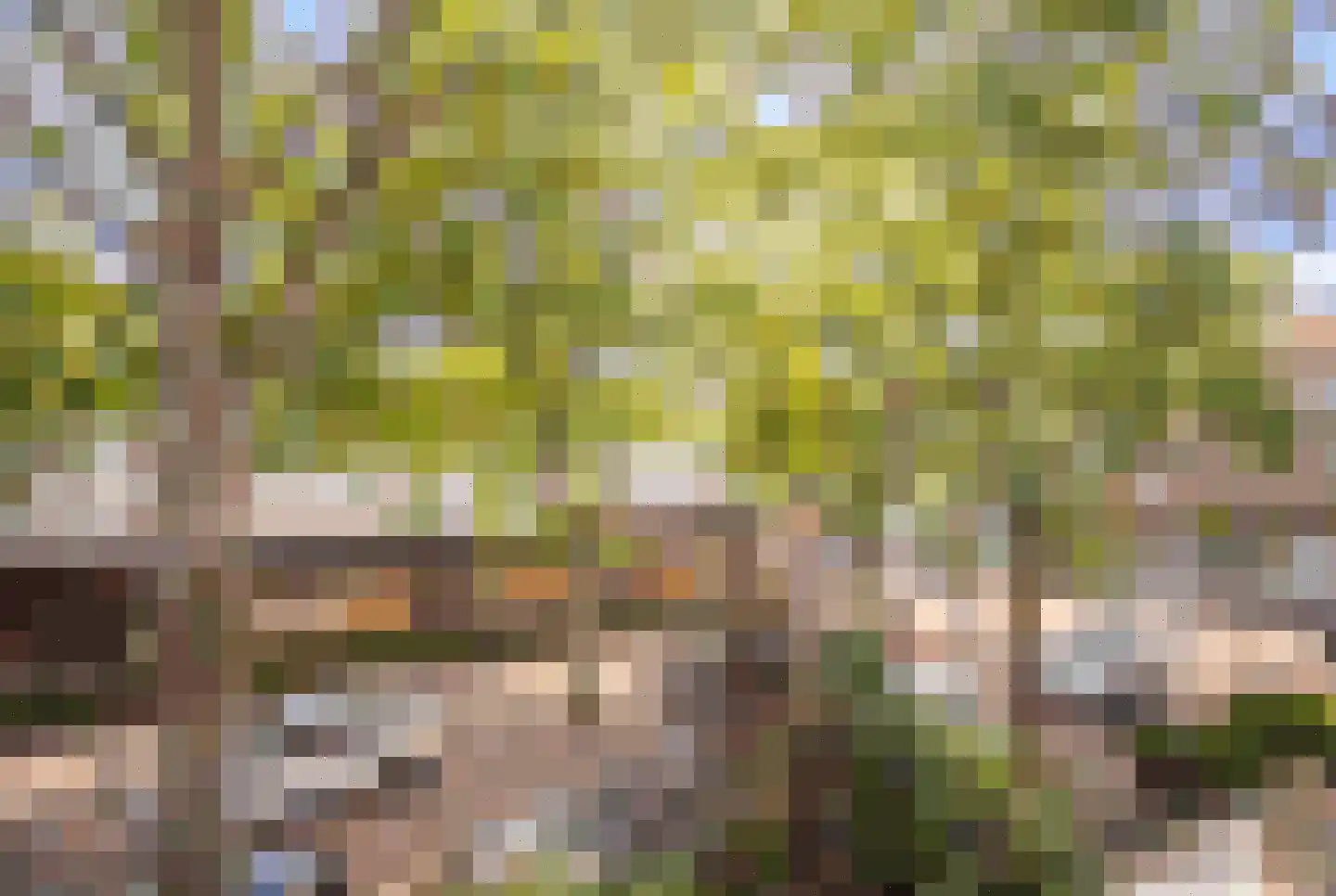 Daniël Catterwijckstraat 15 Rijswijk thumbnail 8