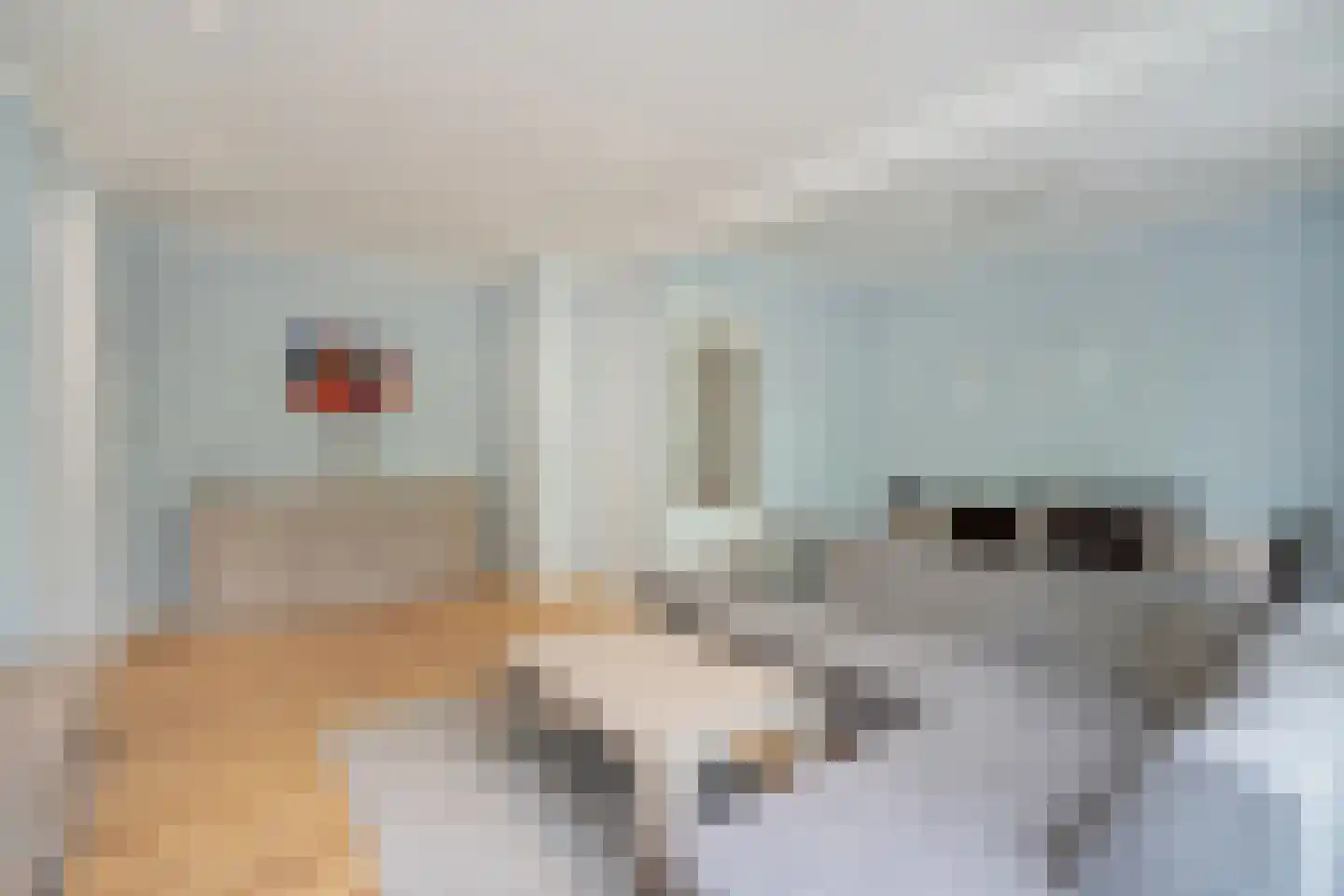 Daniël Catterwijckstraat 17 Rijswijk thumbnail 13