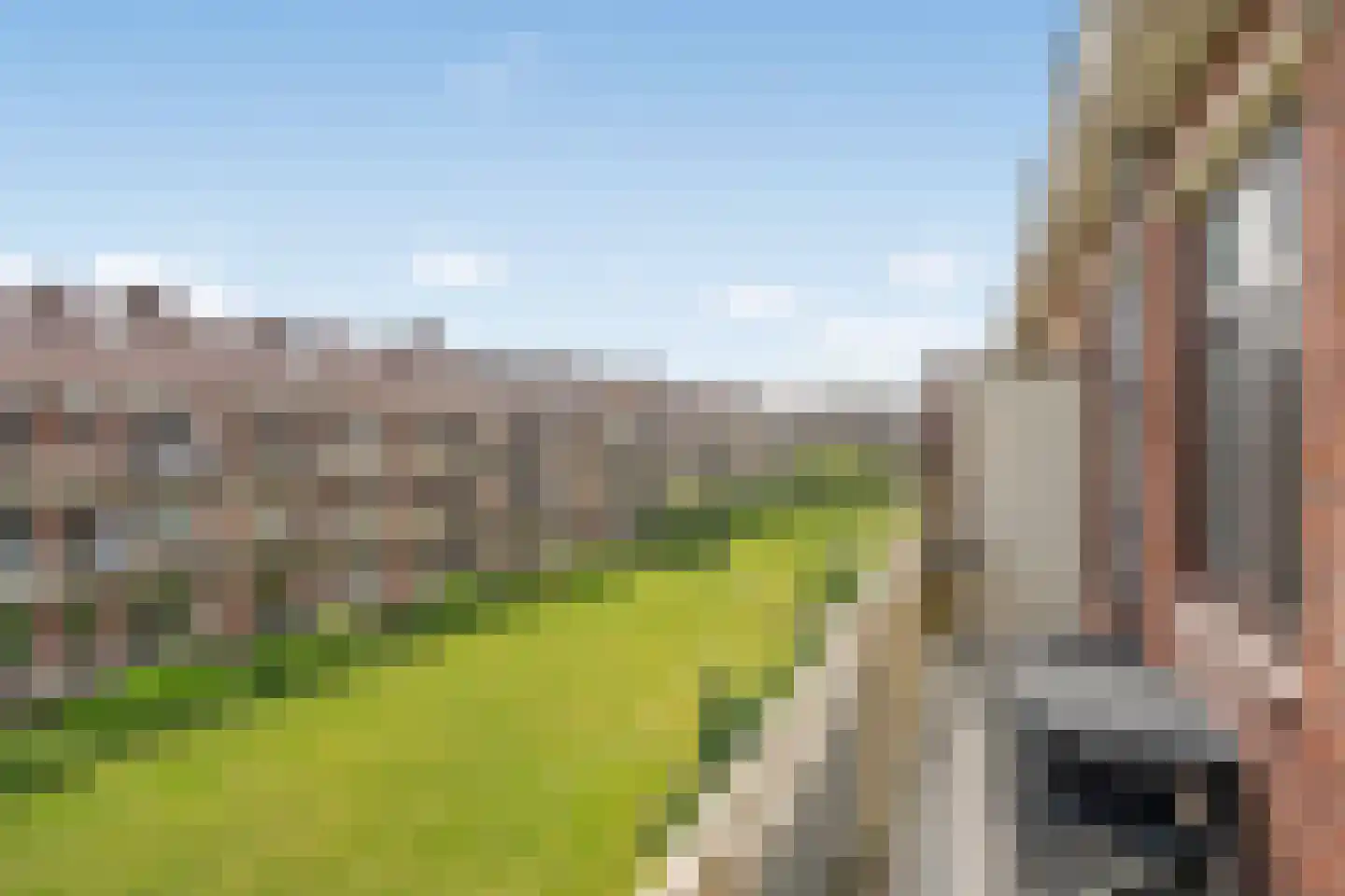 Daniël Catterwijckstraat 17 Rijswijk thumbnail 17