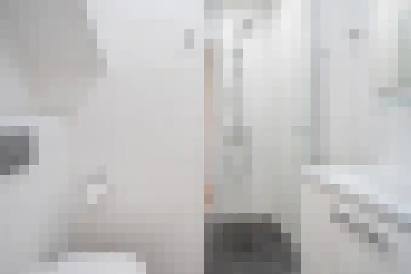 Daniël Catterwijckstraat 17 Rijswijk thumbnail 21