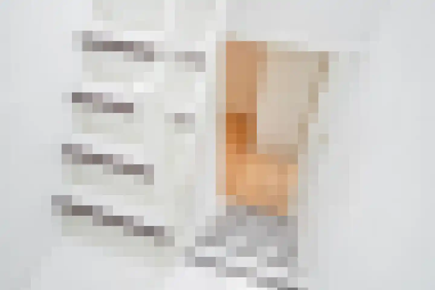 Daniël Catterwijckstraat 17 Rijswijk thumbnail 23