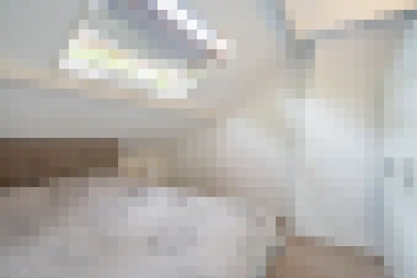 Daniël Catterwijckstraat 17 Rijswijk thumbnail 28
