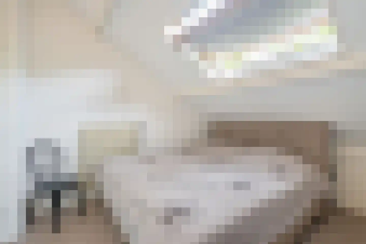 Daniël Catterwijckstraat 17 Rijswijk thumbnail 29