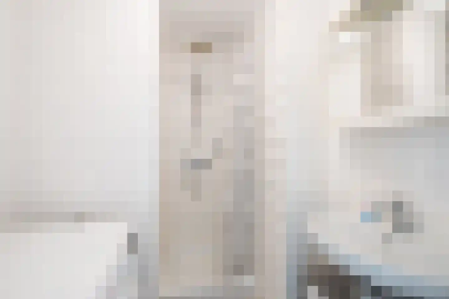 Daniël Catterwijckstraat 17 Rijswijk thumbnail 30
