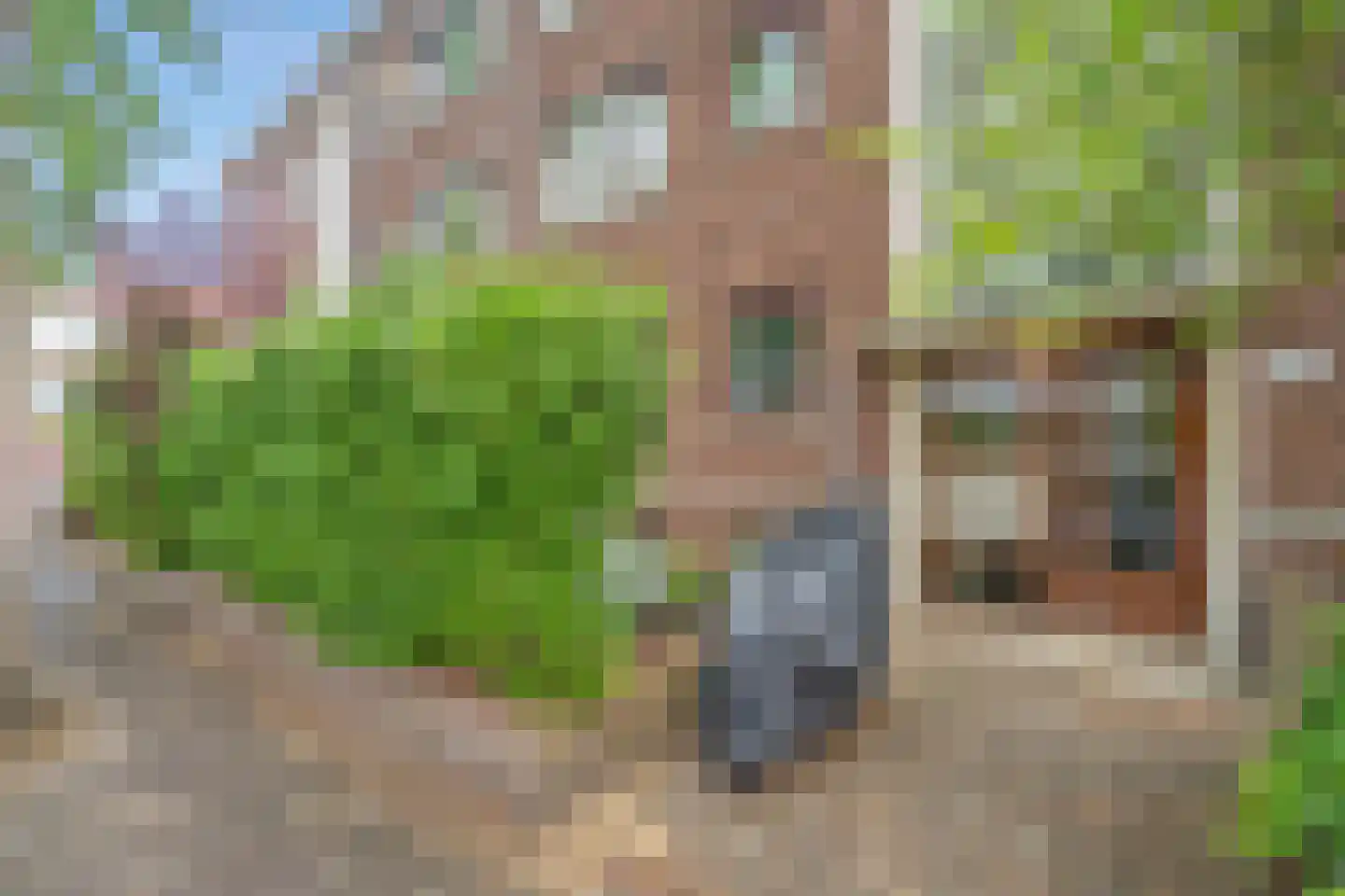 Daniël Catterwijckstraat 17 Rijswijk thumbnail 6