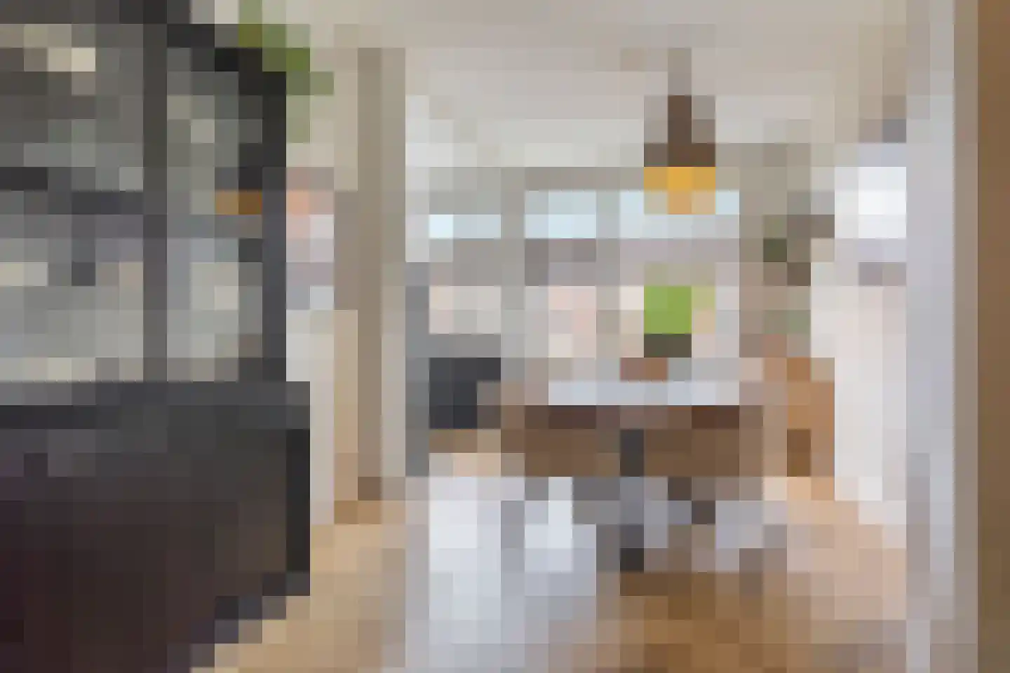 Daniël Catterwijckstraat 19 Rijswijk thumbnail 10