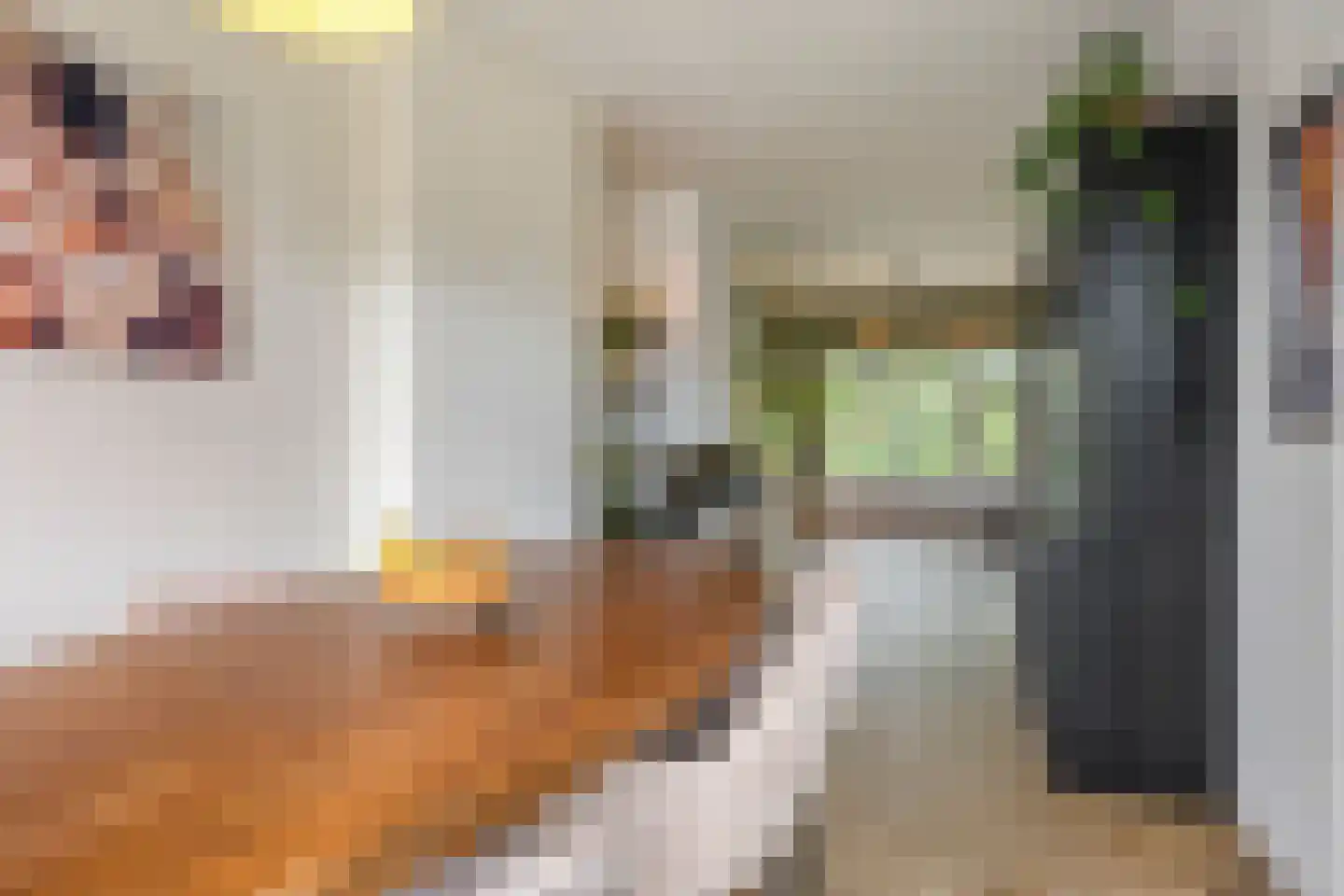 Daniël Catterwijckstraat 19 Rijswijk thumbnail 11