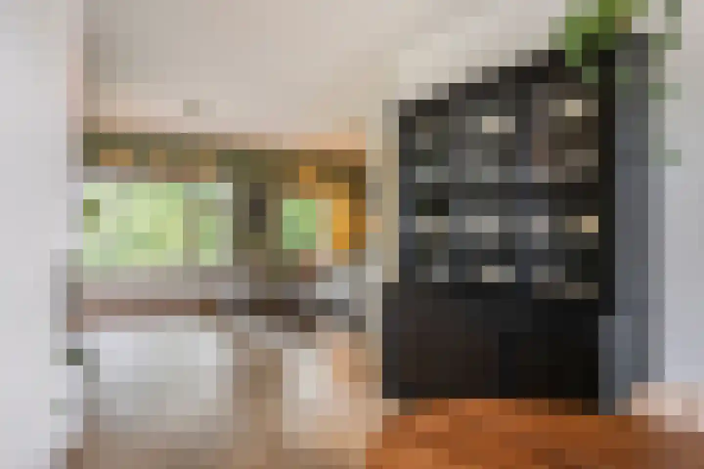 Daniël Catterwijckstraat 19 Rijswijk thumbnail 12