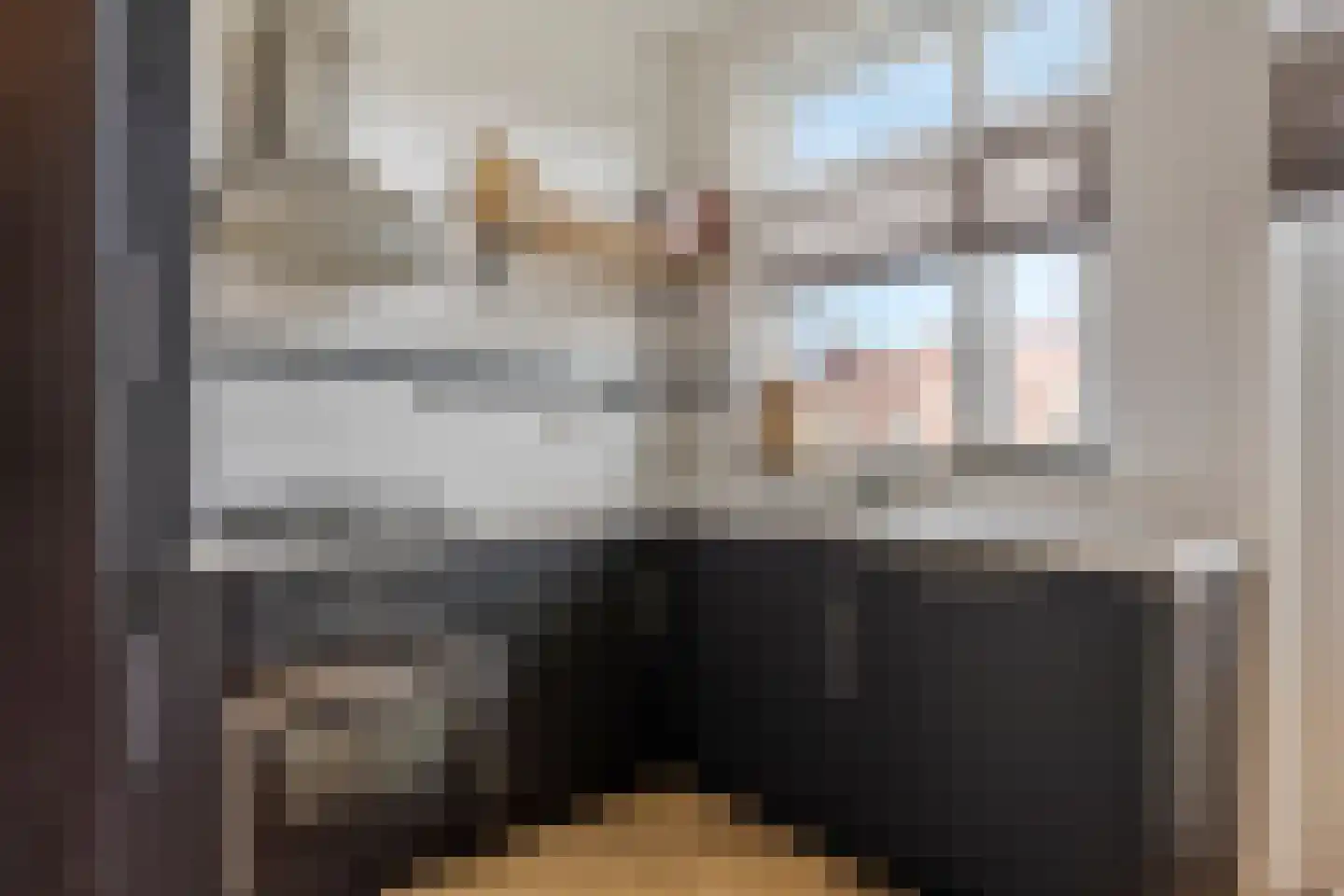 Daniël Catterwijckstraat 19 Rijswijk thumbnail 16