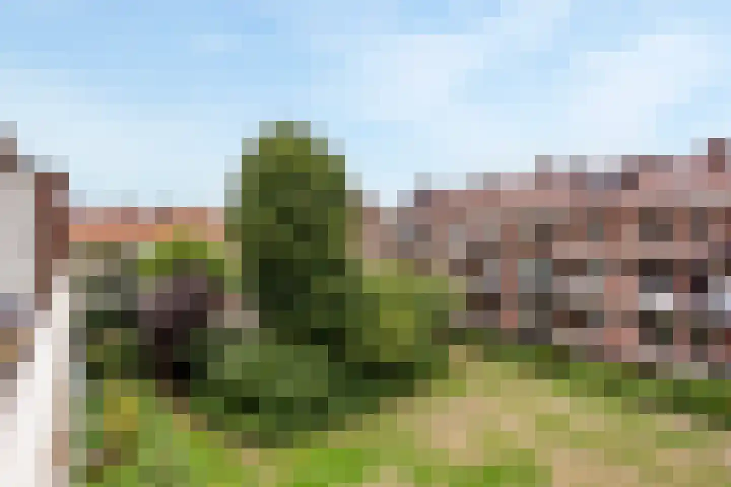 Daniël Catterwijckstraat 19 Rijswijk thumbnail 21