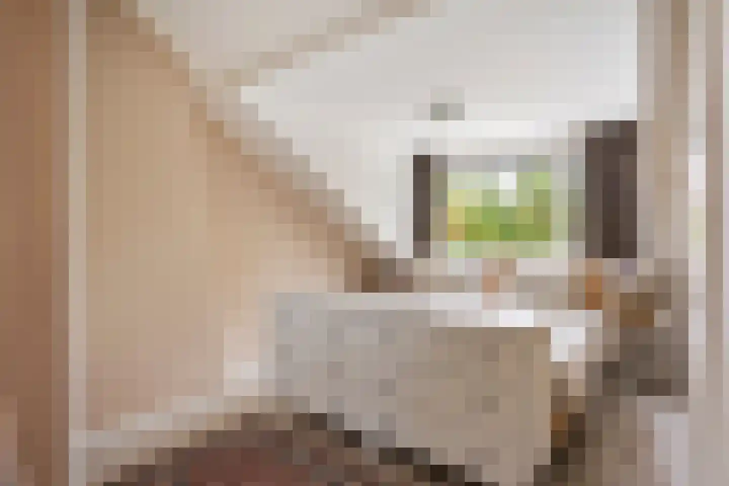Daniël Catterwijckstraat 19 Rijswijk thumbnail 25