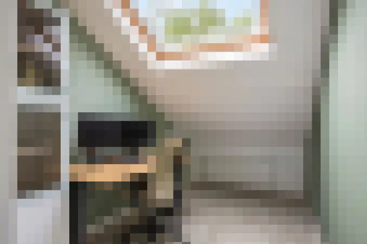 Daniël Catterwijckstraat 19 Rijswijk thumbnail 28