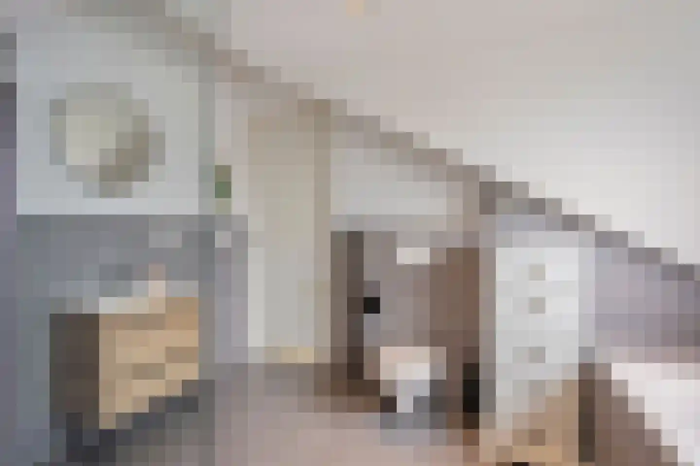 Daniël Catterwijckstraat 19 Rijswijk thumbnail 31