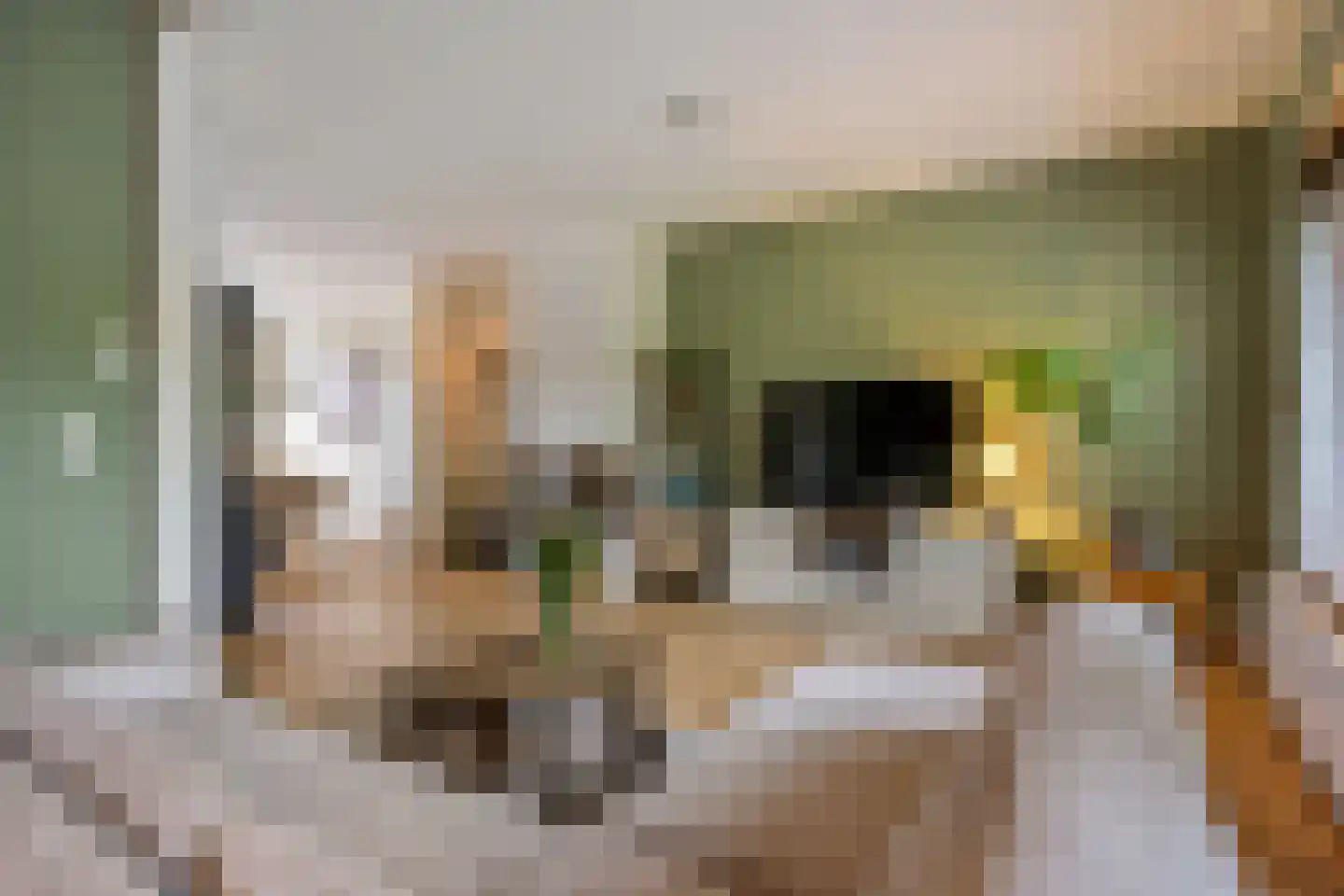 Daniël Catterwijckstraat 19 Rijswijk thumbnail 4